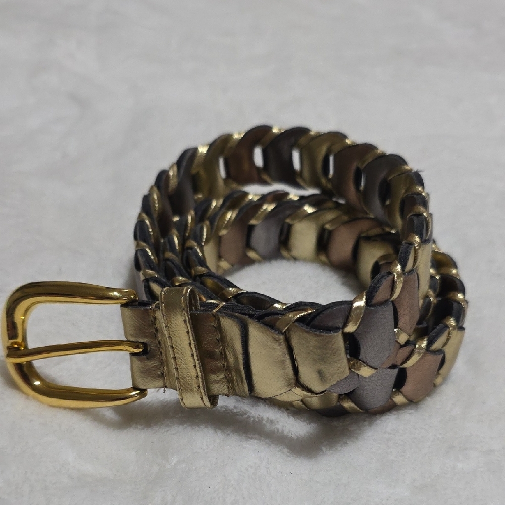 Elegant Gold and Brown Woven Belt